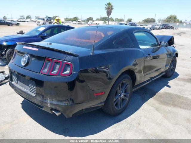 1ZVBP8AM0E5201845 Ford Mustang V6