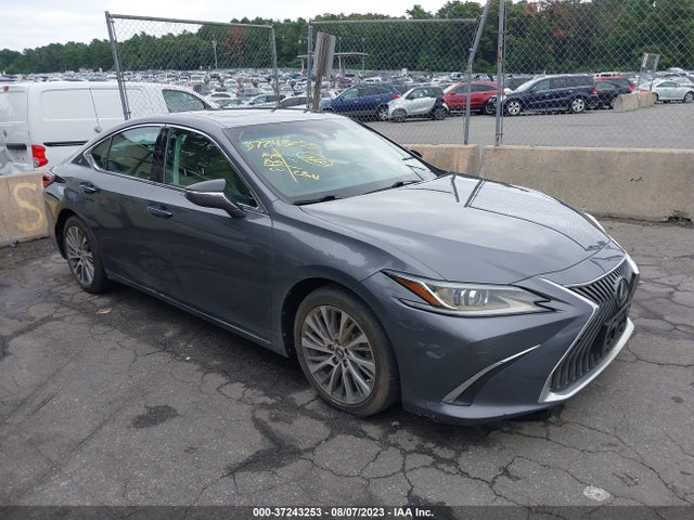 2020 Lexus ES, VIN: 58ADZ1B1XLU080217
