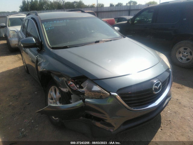 2013 MAZDA CX-9 SPORT VIN: JM3TB2BA2D0417139