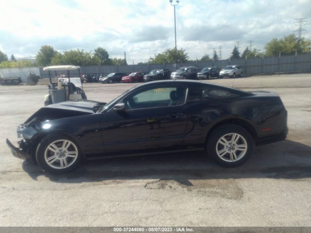1ZVBP8AM3E5208689 Ford Mustang V6