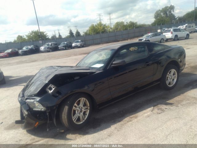 1ZVBP8AM3E5208689 Ford Mustang V6