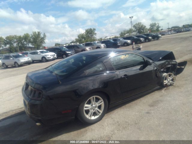 1ZVBP8AM3E5208689 Ford Mustang V6