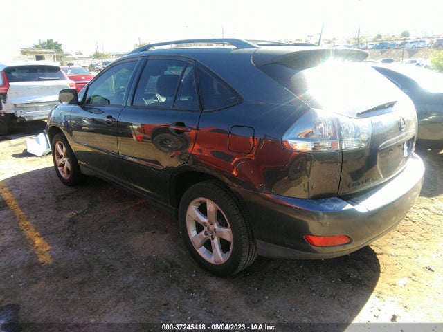 2004 LEXUS RX 330 VIN: JTJGA31U740005097