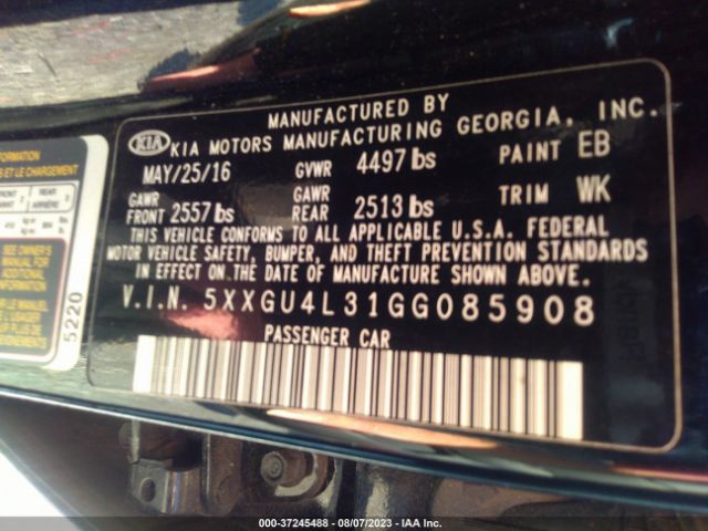 5XXGU4L31GG085908 KIA OPTIMA EX
