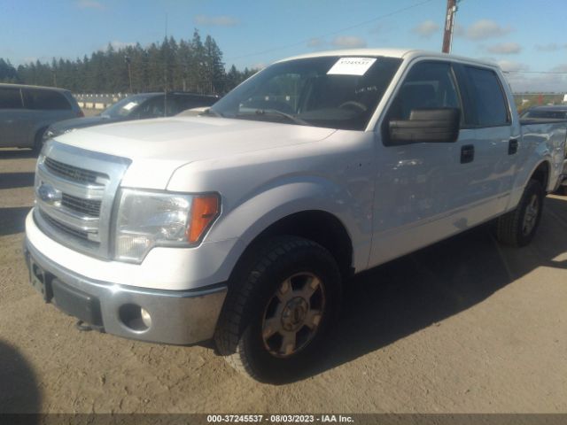 1FTFW1EF4EKD82315 Ford F-150 Xl/xlt/stx/fx4/lariat