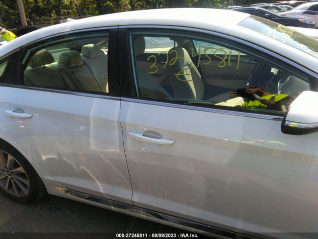 2017 HYUNDAI SONATA SPORT VIN: 5NPE34AF6HH495696