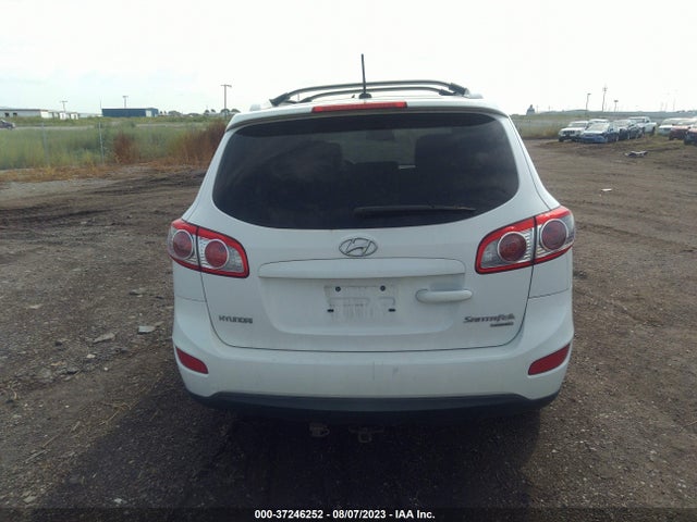 2010 HYUNDAI SANTA FE SE VIN: 5NMSHDAG6AH396067