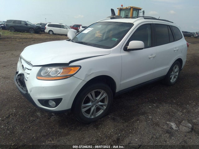 2010 HYUNDAI SANTA FE SE VIN: 5NMSHDAG6AH396067