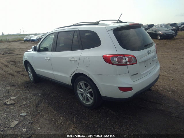2010 HYUNDAI SANTA FE SE VIN: 5NMSHDAG6AH396067