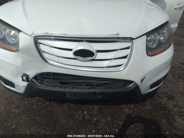 2010 HYUNDAI SANTA FE SE VIN: 5NMSHDAG6AH396067
