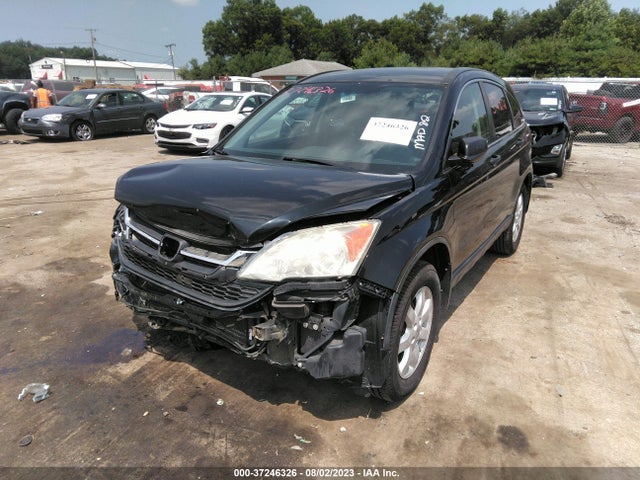 2011 HONDA CR-V SE VIN: 5J6RE4H46BL108271