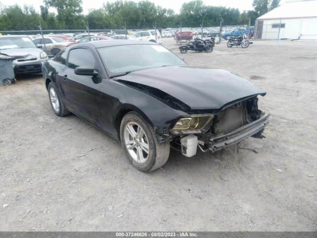 1ZVBP8AMXE5282269 auction archive image