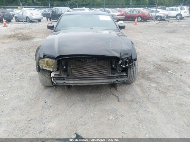 1ZVBP8AMXE5282269 Ford Mustang V6