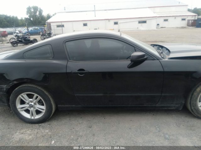 1ZVBP8AMXE5282269 Ford Mustang V6