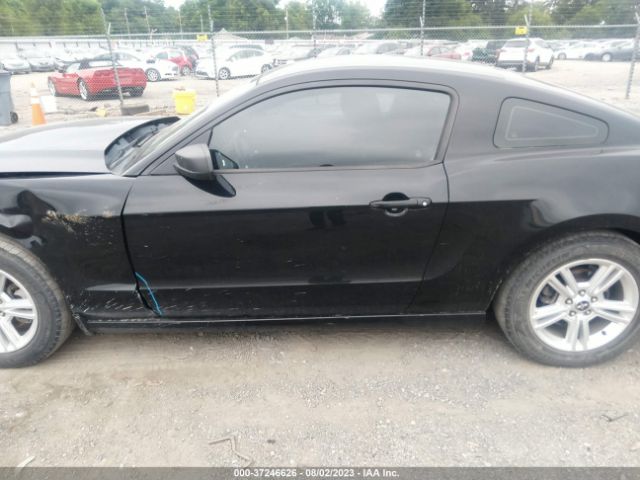 1ZVBP8AMXE5282269 Ford Mustang V6