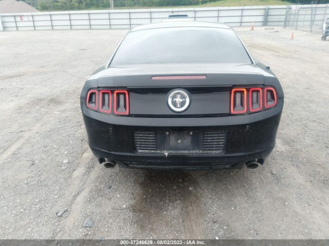 1ZVBP8AMXE5282269 Ford Mustang V6