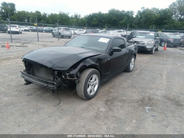 1ZVBP8AMXE5282269 Ford Mustang V6