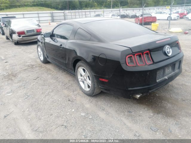 1ZVBP8AMXE5282269 Ford Mustang V6
