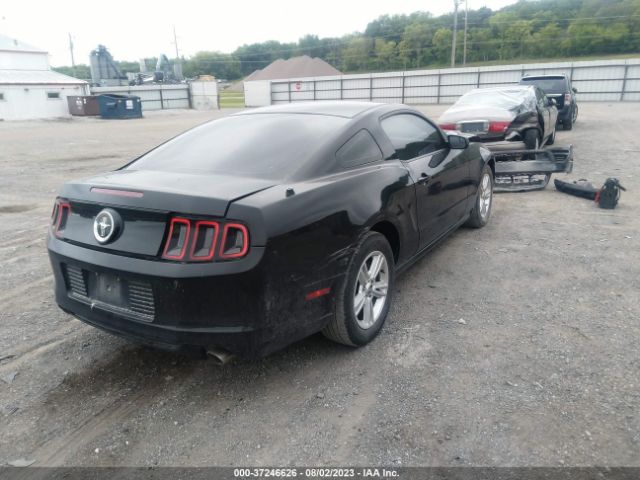 1ZVBP8AMXE5282269 Ford Mustang V6