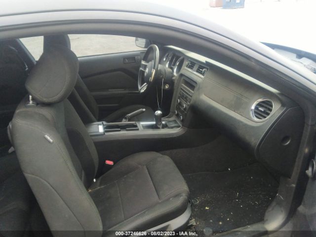 1ZVBP8AMXE5282269 Ford Mustang V6