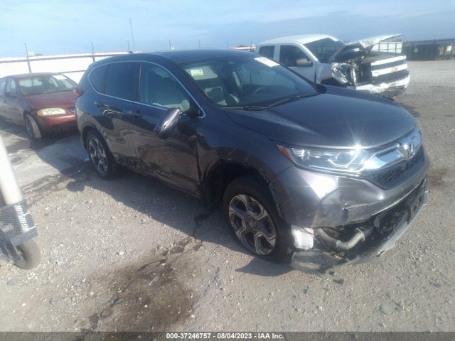 Honda CR-V EX 2019 5J6RW2H56KL031301 Image 1