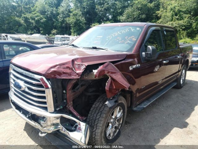 1FTEW1EGXGFB49524 Ford F-150 Xlt/xl/lariat/platinum