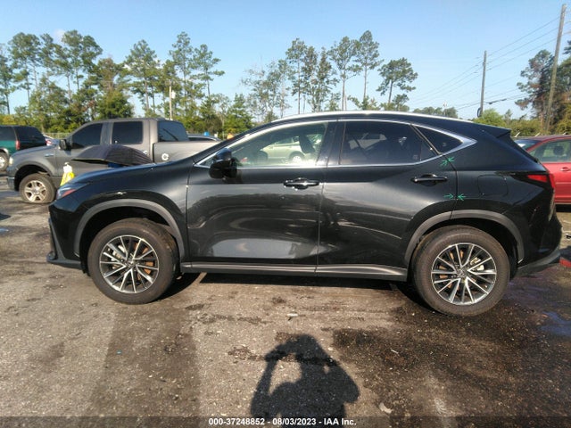 2022 Lexus NX, VIN: JTJGDCAZ0N5000640