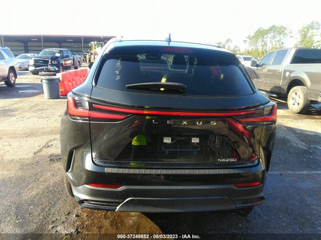 2022 Lexus NX, VIN: JTJGDCAZ0N5000640