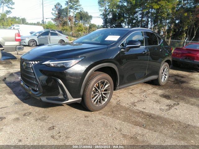 2022 Lexus NX, VIN: JTJGDCAZ0N5000640