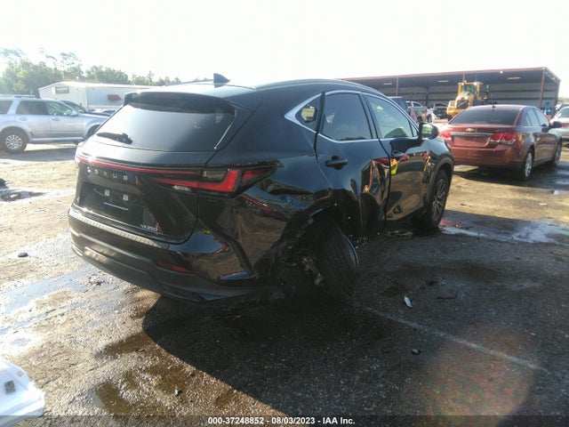 2022 Lexus NX, VIN: JTJGDCAZ0N5000640