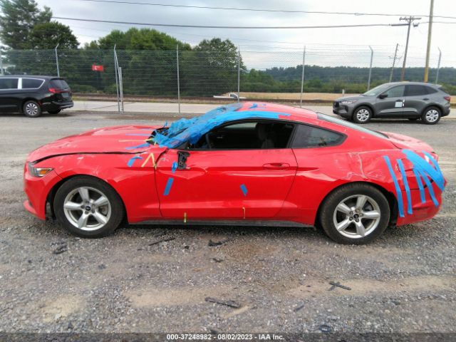 1FA6P8AM8F5316558 Ford Mustang V6