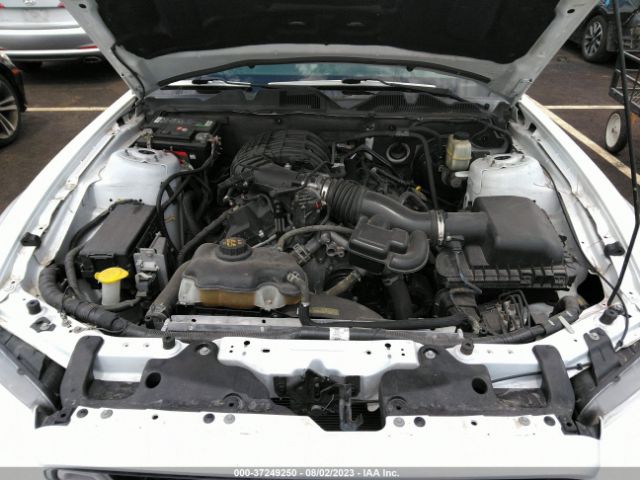 1ZVBP8AM0E5285066 Ford Mustang V6