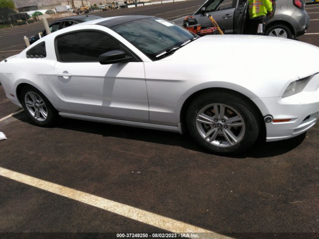 1ZVBP8AM0E5285066 Ford Mustang V6