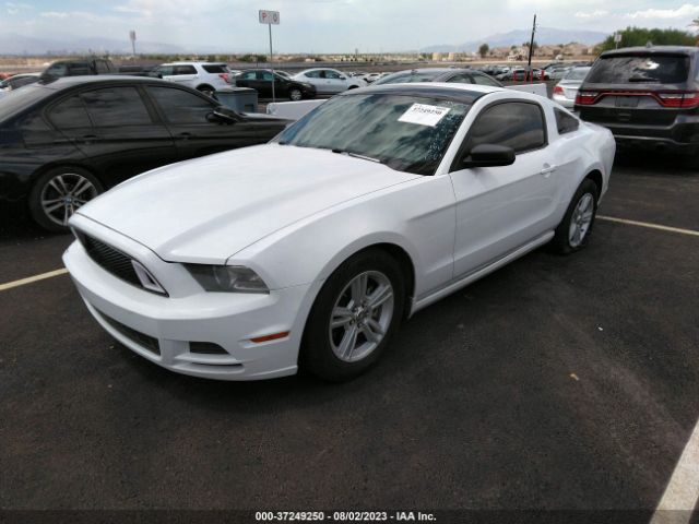 1ZVBP8AM0E5285066 Ford Mustang V6