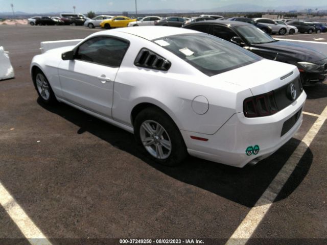 1ZVBP8AM0E5285066 Ford Mustang V6