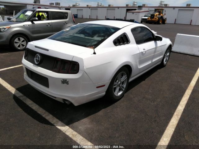 1ZVBP8AM0E5285066 Ford Mustang V6