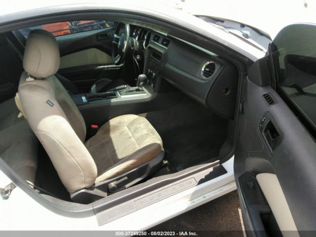 1ZVBP8AM0E5285066 Ford Mustang V6