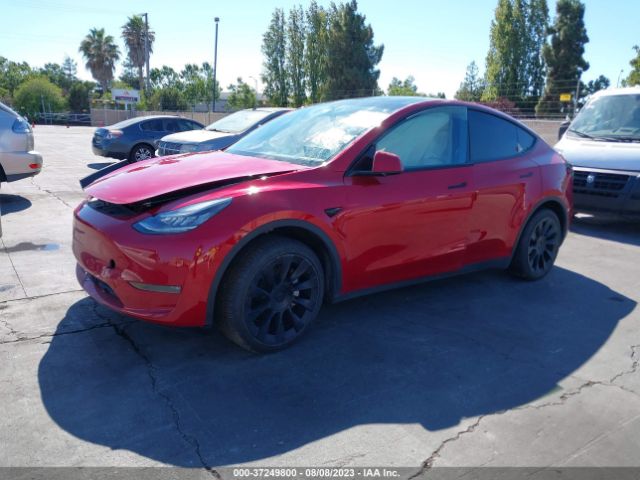 5YJYGDEE0LF053684 Tesla Model Y Long Range