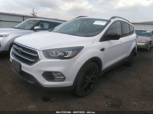 Ford ESCAPE SE 2019 1FMCU9GD6KUB09956 Image 2