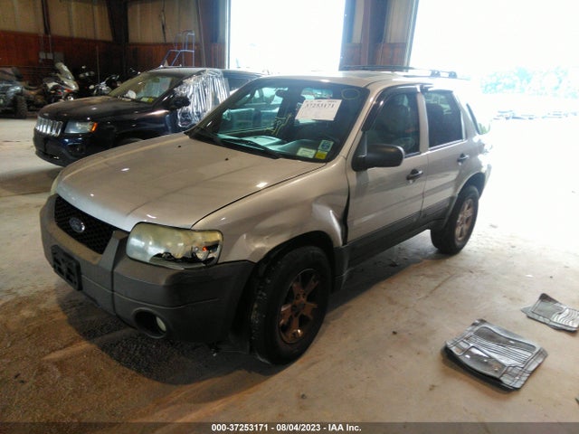 2007 FORD ESCAPE XLT VIN: 1FMYU93147KA28894