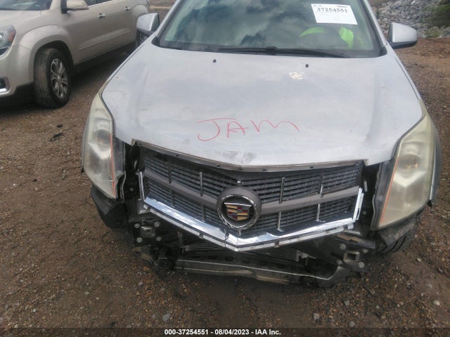 2010 CADILLAC SRX LUXURY COLLECTION VIN: 3GYFNAEY5AS507819