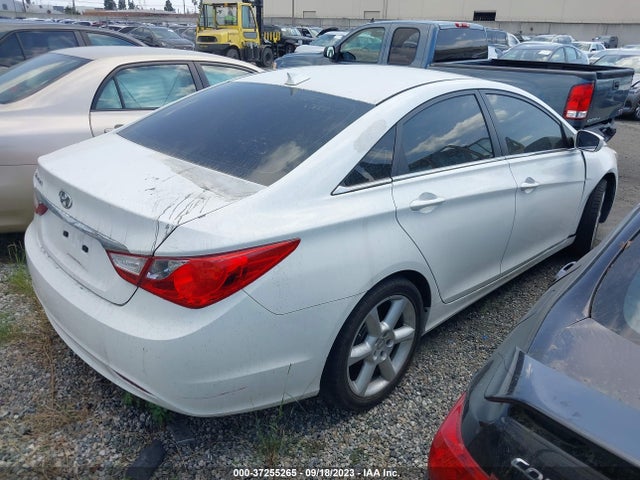 2013 HYUNDAI SONATA GLS PZEV VIN: 5NPEB4AC1DH729231