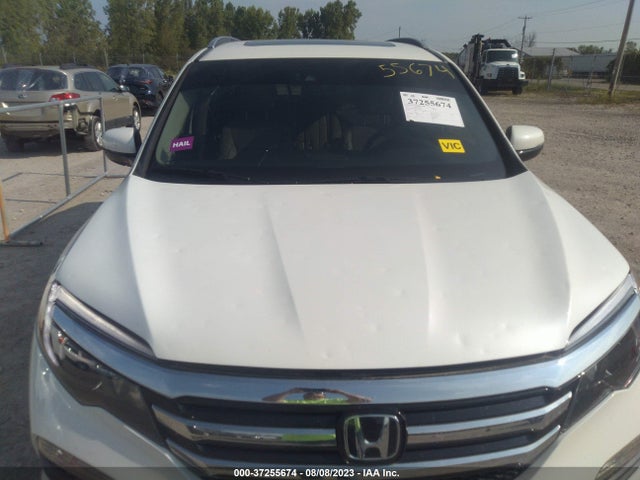 Honda Pilot Elite 2017 5FNYF6H03HB020815 Image 6