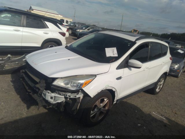 1FMCU0GX2FUA21787 Ford ESCAPE SE