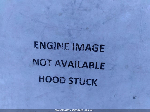 3VV3B7AXXJM029503 Volkswagen Tiguan Sel/se