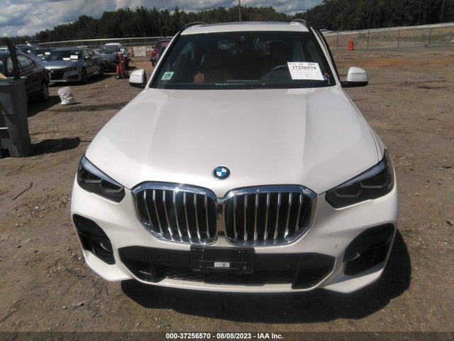 2023 BMW X5 XDRIVE40I VIN: 5UXCR6C01P9R06342