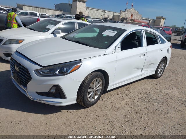 Hyundai SONATA SE 2019 5NPE24AF1KH749860 Image 2