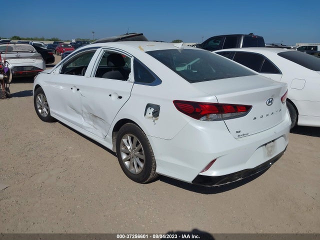 Hyundai SONATA SE 2019 5NPE24AF1KH749860 Image 3