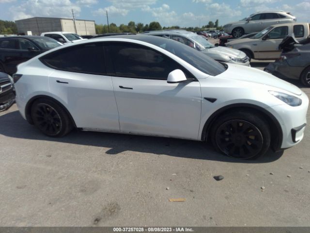5YJYGDEEXMF296579 Tesla Model Y Long Range