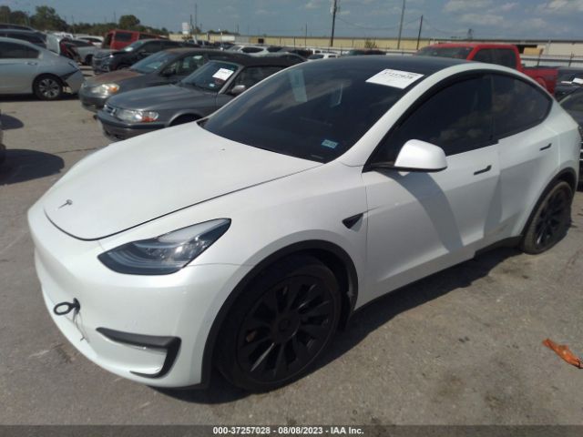 5YJYGDEEXMF296579 Tesla Model Y Long Range